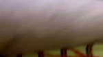 GF Ke Sath Masti Fucking Sucking