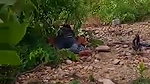 Desi couple caught outdoor