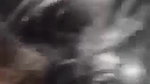 Desi cute girl suck her bf dick