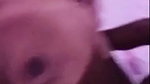 Desi Sexy Married Bhabi Bj Fucking And Nude Dancing