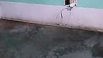 Mampi Bhabhi Hot Tango Live