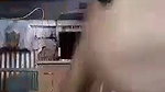 Bigboob Unsatisfied Horny Chubby Girl Masturbating