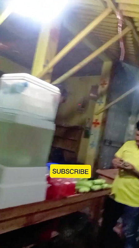 দৌলতদিয়া ঈদের দিন   Daulatdia Polli New Video 2025