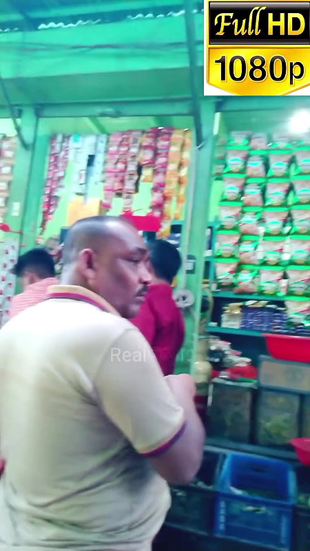 দৌলতদিয়া পল্লীর ভিআইপি   daulatdia ghat   Daulatdia new video 2025