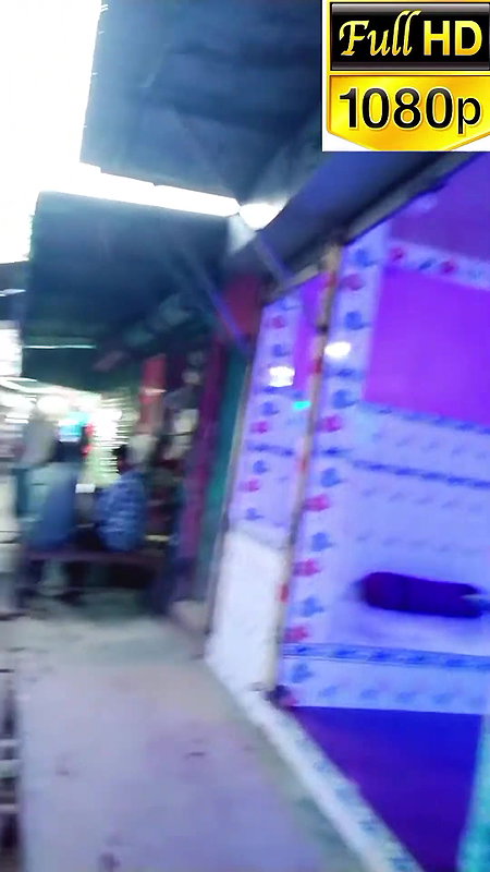 দৌলতদিয়া পল্লীর ভিআইপি   daulatdia ghat   Daulatdia new video 2025
