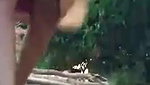 Desi village bhabi sexy pee