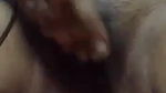Desi Booby Girl Fingering Pussy