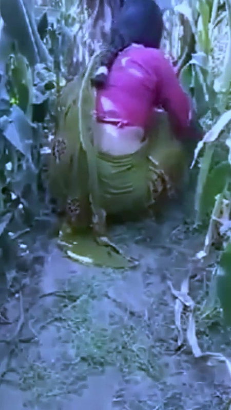 Desi village bhabi fucking with old father in lw in field