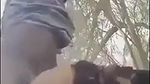 Desi village bhabi fucking outdoor with old father in lw