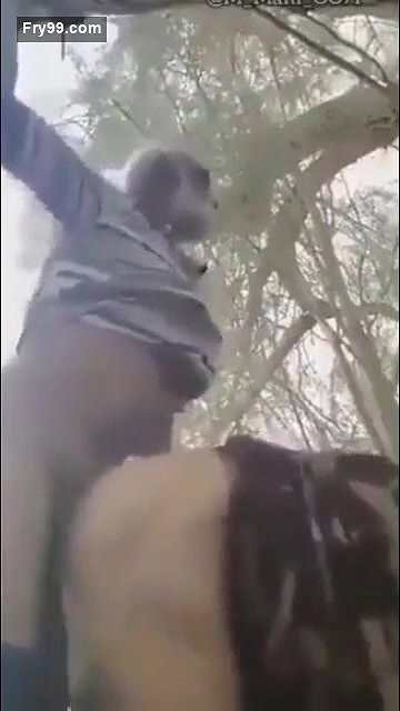 Desi village bhabi fucking outdoor with old father in lw