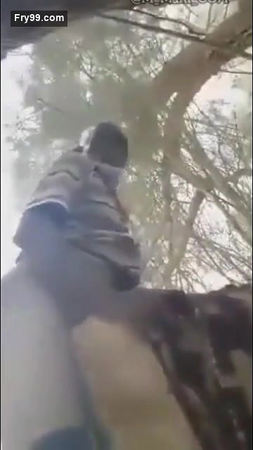 Desi village bhabi fucking outdoor with old father in lw
