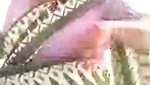 Tamil Bhabhi Showing Her Boobs