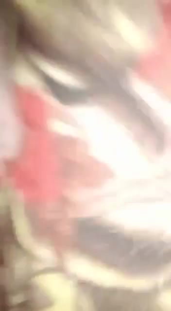 Paki Couple Fucking