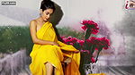Sexy Yellow Saree Fashion