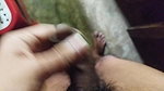 ASMR sex story in hindi Dirty talk