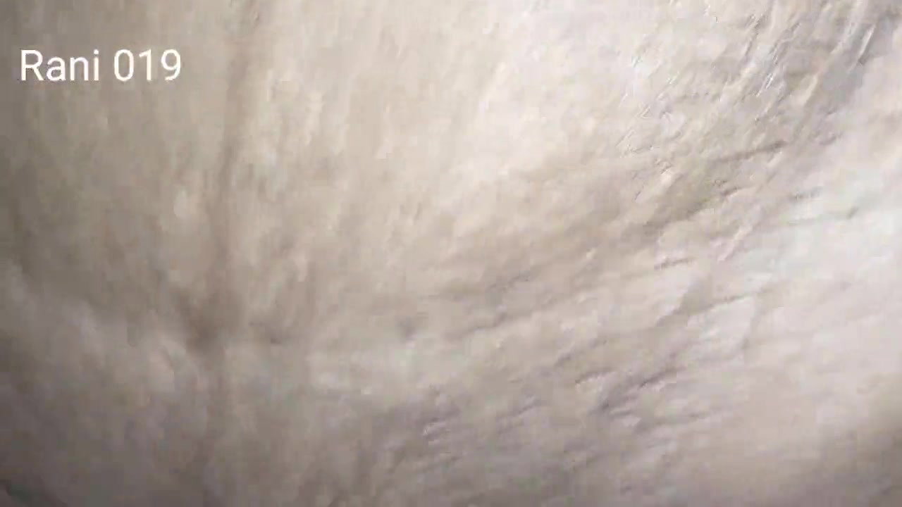 Desi bhabhi ki chudayi devar ne bhabhi ko bedroom me bula ke chodha