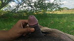 Indian desi tribal girl outdoor cheating sex with forest ranger multiple times in jungle compilation video