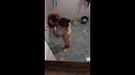nepali college girl hiddencam shower 2