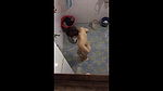 nepali college girl hiddencam shower 2