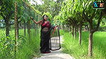 Saree Sundori MOU  Saree Lovers  Saree Shoot  Saree Fashion  Saree Sundori Anytime Entertainment