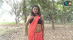 saree lover  saree photoshoot  saree fashion  indian beauty  Renu  high fashion saree shoot