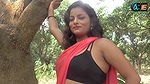 saree lover  saree photoshoot  saree fashion  indian beauty  Renu  high fashion saree shoot
