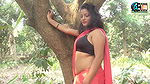 saree lover  saree photoshoot  saree fashion  indian beauty  Renu  high fashion saree shoot