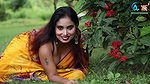 Saree Shoot  Saree Fashion  Saree Sundari  Saree Lover  Bong Beauty Model Actress MOU
