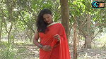 saree lover  saree photoshoot  saree fashion  saree r nari  saree te indian beauty  saree queen