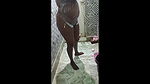 Indian desi girl bathroom sex video (part 1)