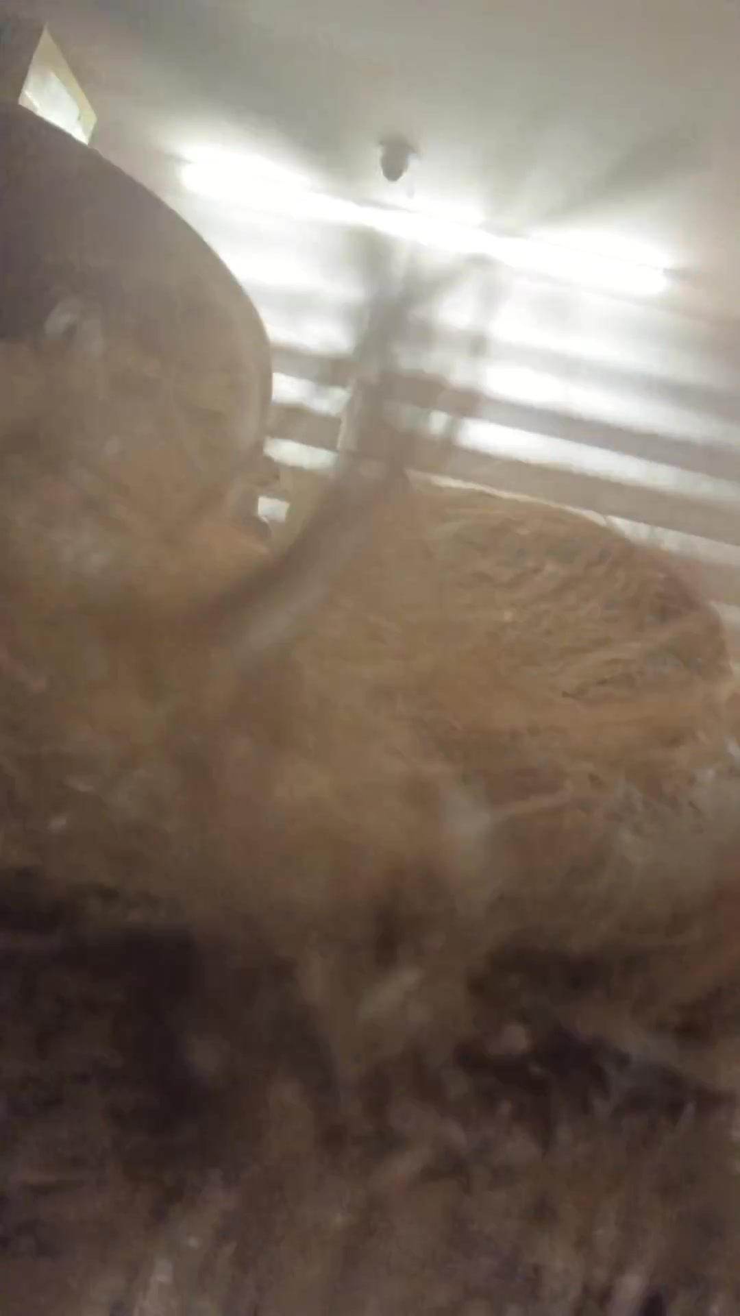 Frame 10