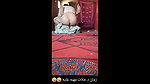 paki sex scandal