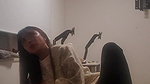 korean couple fucking- 67