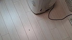 korean couple fucking- 83