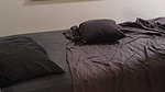 korean couple fucking- 10