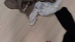 korean couple fucking- 15
