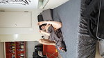 korean couple fucking- 28