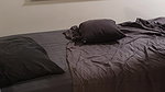 korean couple fucking- 33