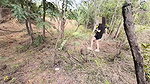 Thai Teen Amateur Outdoor Fuck POV Creampie in Nature Thai Voice