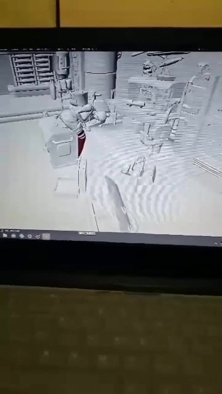 Verification videos of animation