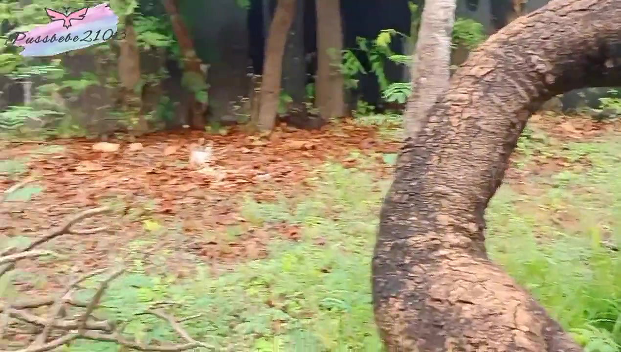 Pinay Babe Agrees to have Sex in Public Park with a Stranger