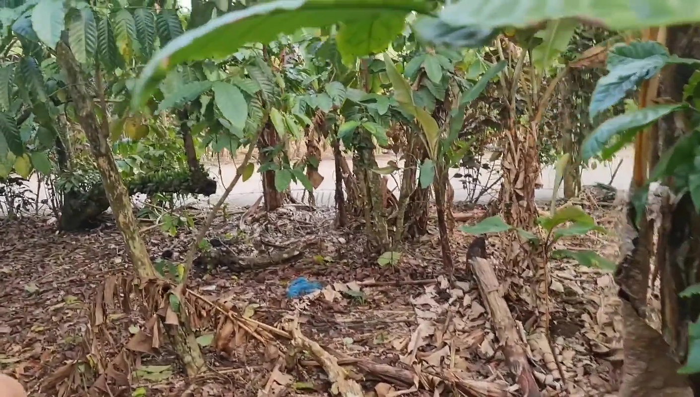 Risky Sex,near in Public Road, Street Fucked by Strangers