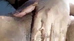 Hot_malak