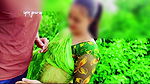 Desi beautiful Padosi Girl Fucking in jungle with her Padosi BF, So Cute Girl Fuck at Farm hindi