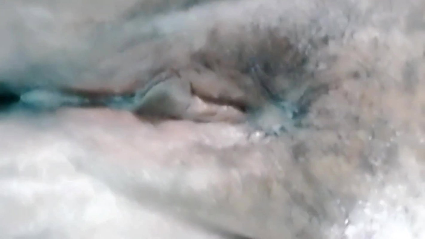 Pussy Fingering
