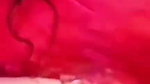 Vinee_Bhabhi_Tango_Live2 tango show