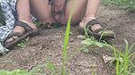 The sister-in-law of the village is urinating in the field and putting fingers in her pussy, in the open field, in the forest, sister-in-law wants to take the load, to give my Lauda