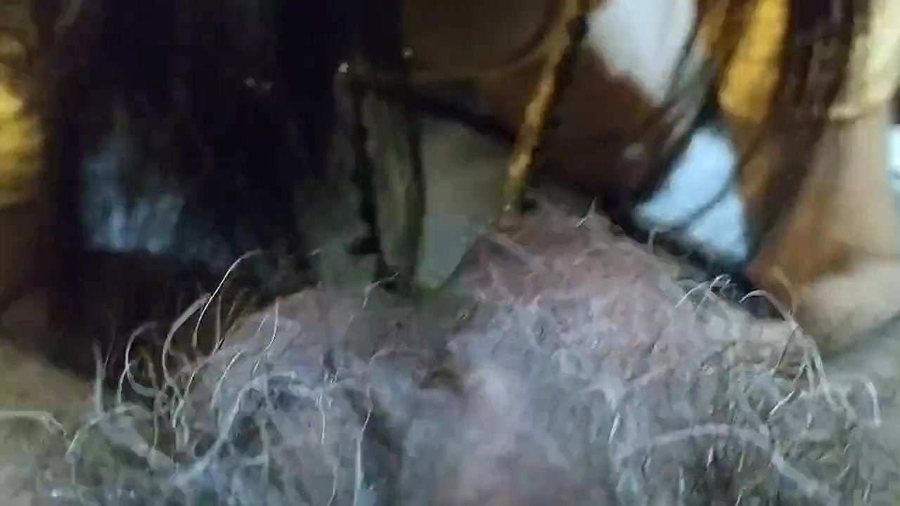 Homemade hot Hard fucking sucking