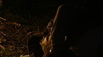 Die Teufelsinsel (2000)  Germany  Dvdrip
