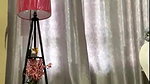 Brown_girl-stripchat-ticket-show